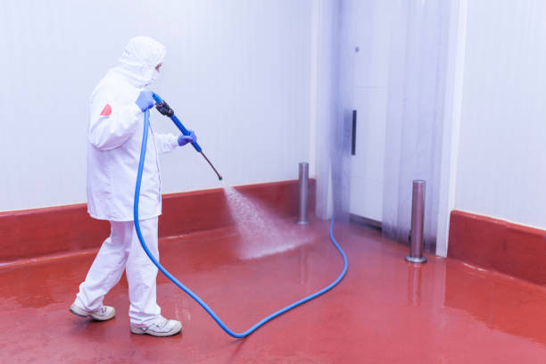Best Playground Equipment Cleaning  in Ozona, TX